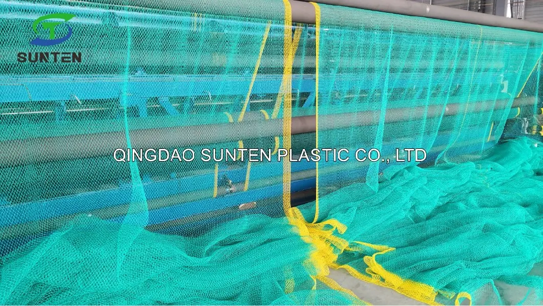 China Manufacturer Portable Heavy Duty Blackish Green Knotted Cargo Net, Fall Arrest Net, Safety Catch Net, Fishing Net, Ski Nets Snow Net