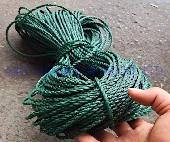 Cuerdas de nailon trenzado/torcido de alta calidad Cuerdas de embalaje de color/tamaño personalizado, Cuerda de nailon para remolque de camiones, Tracción fuerte, Eslinga industrial, Cuerda de seguridad