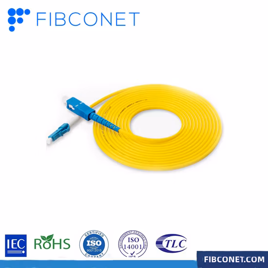 Fábrica Pplyester y PVC Ball Bungee Cords Elástico fuerte Bungee Cord con bola para carpa trampolín